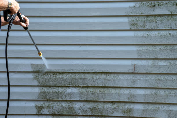 Best Historical Building Siding Restoration  in Hokes Bluff, AL