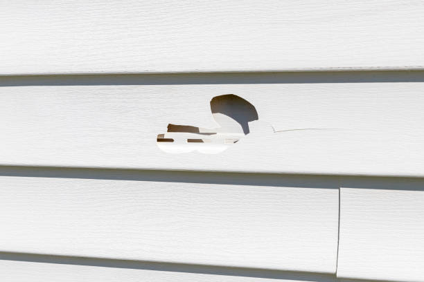 Best Aluminum Siding Installation  in Hokes Bluff, AL