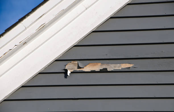 Best Siding Removal and Disposal  in Hokes Bluff, AL