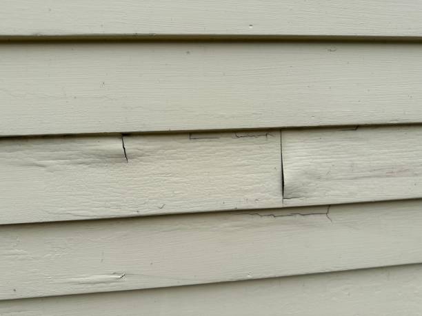 Siding for Commercial Buildings in Hokes Bluff, AL