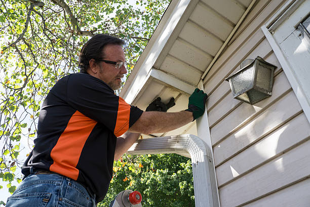 Best Fiber Cement Siding Installation  in Hokes Bluff, AL